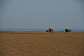 DSC01675 - Bernhard Saalfeld