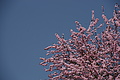 DSC01676 - Bernhard Saalfeld