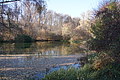 DSC09418 - Bernhard Saalfeld