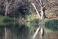DSC09423 - Bernhard Saalfeld