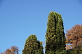 DSC09424 - Bernhard Saalfeld