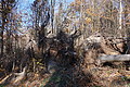 DSC09425 - Bernhard Saalfeld