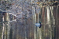 DSC09430 - Bernhard Saalfeld
