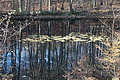 DSC09432 - Bernhard Saalfeld