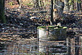 DSC09433 - Bernhard Saalfeld