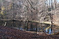 DSC09434 - Bernhard Saalfeld