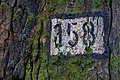 DSC09436 - Bernhard Saalfeld