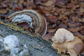 DSC09439 - Bernhard Saalfeld