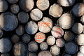 DSC09441 - Bernhard Saalfeld