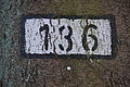 DSC09445 - Bernhard Saalfeld