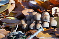 DSC09453 - Bernhard Saalfeld