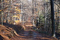 DSC09470 - Bernhard Saalfeld