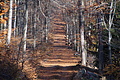 DSC09471 - Bernhard Saalfeld