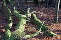 DSC09475 - Bernhard Saalfeld