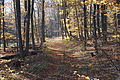 DSC09476 - Bernhard Saalfeld
