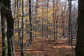 DSC09477 - Bernhard Saalfeld