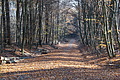 DSC09480 - Bernhard Saalfeld