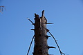 DSC09481 - Bernhard Saalfeld