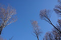DSC09482 - Bernhard Saalfeld