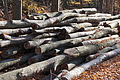 DSC09483 - Bernhard Saalfeld