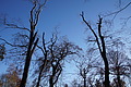 DSC09484 - Bernhard Saalfeld