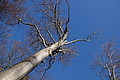 DSC09485 - Bernhard Saalfeld
