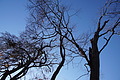 DSC09486 - Bernhard Saalfeld