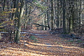 DSC09487 - Bernhard Saalfeld