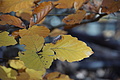 DSC09491 - Bernhard Saalfeld