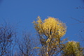 DSC09495 - Bernhard Saalfeld