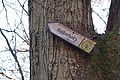 DSC09498 - Bernhard Saalfeld