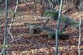 DSC09500 - Bernhard Saalfeld