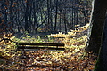 DSC09505 - Bernhard Saalfeld