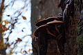 DSC09507 - Bernhard Saalfeld
