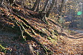 DSC09510 - Bernhard Saalfeld