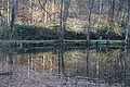 DSC09511 - Bernhard Saalfeld