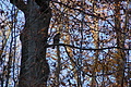 DSC09512 - Bernhard Saalfeld