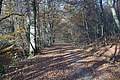 DSC09520 - Bernhard Saalfeld