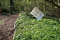 DSC09905 - Bernhard Saalfeld
