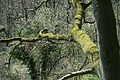 DSC09906 - Bernhard Saalfeld