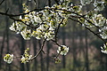 DSC09907 - Bernhard Saalfeld