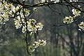 DSC09908 - Bernhard Saalfeld