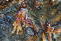 DSC09910 - Bernhard Saalfeld