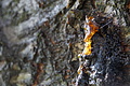 DSC09913 - Bernhard Saalfeld