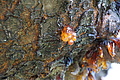 DSC09914 - Bernhard Saalfeld