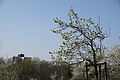 DSC09915 - Bernhard Saalfeld