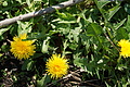 DSC09919 - Bernhard Saalfeld