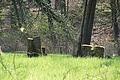 DSC09920 - Bernhard Saalfeld