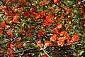 DSC09921 - Bernhard Saalfeld