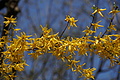 DSC09922 - Bernhard Saalfeld